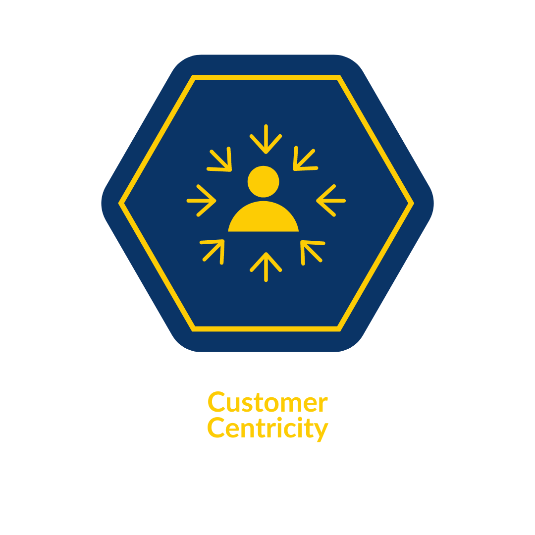 Customer centricity